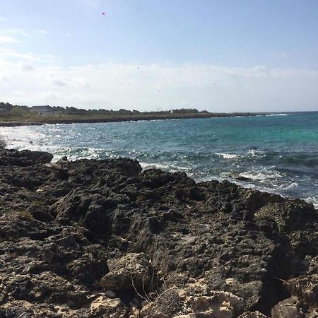 Villa Domenica Torre Squillace エクステリア 写真