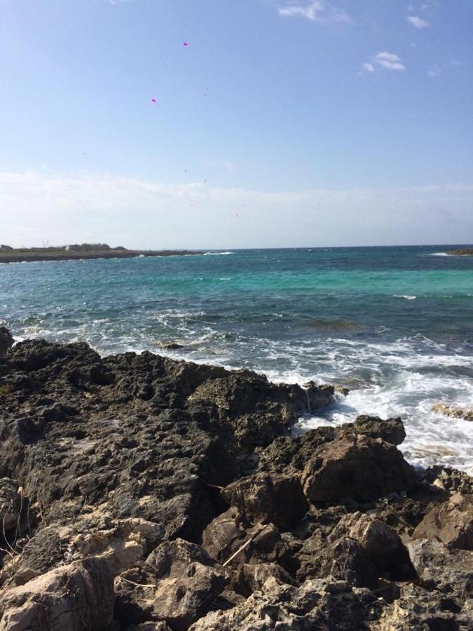 Villa Domenica Torre Squillace エクステリア 写真